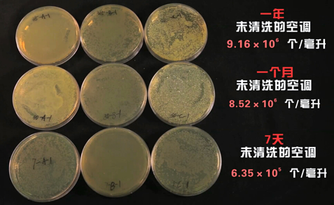 高溫來襲 警惕空調散熱片暗藏細菌 高溫來襲 警惕空調散熱片暗藏細菌